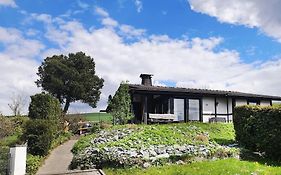 Ferienhaus Lena Im Sauerland Direkt Am Hennesee