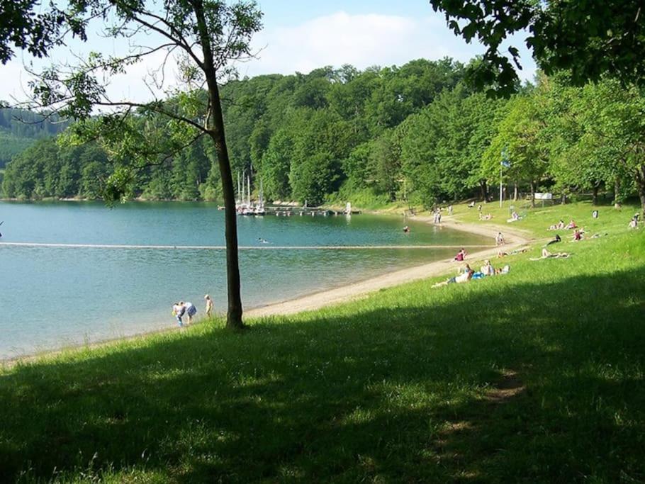 Ferienhaus Lena Im Sauerland Direkt Am Hennesee Meschede Exterior foto